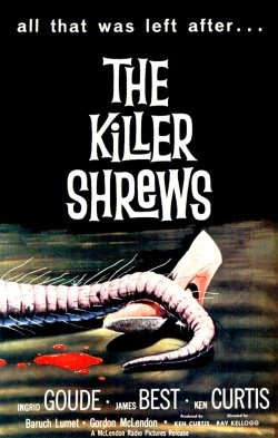 public domain movies